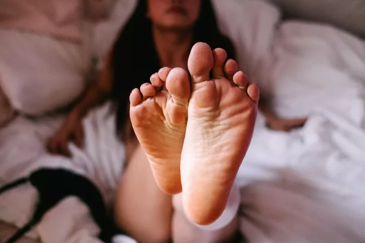 New content for sale. Accept PayPal