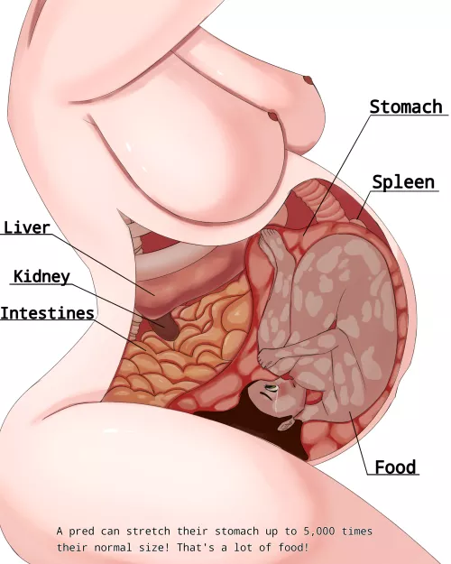 {promo} Hi! I'm an artist looking looking to be commissioned!