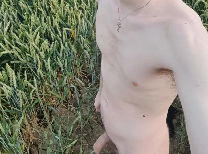 Running through fields of wheat