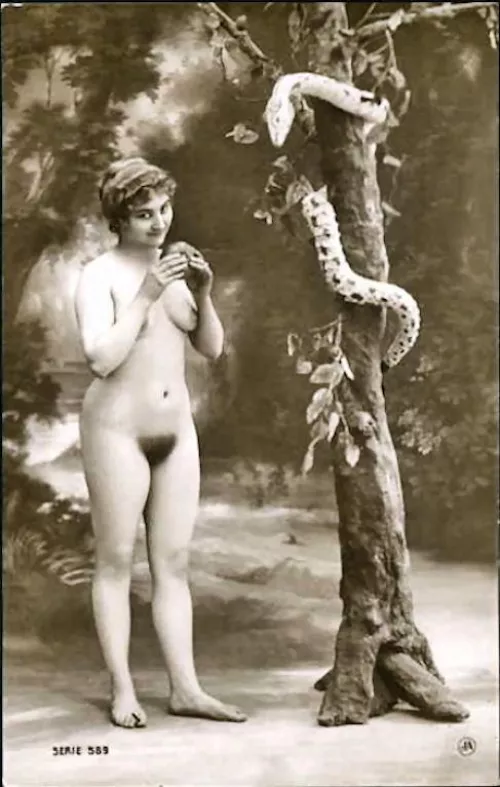 the French will make a postcard about ANYTHING if there are nude women in it