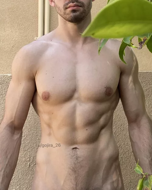 Urban landscaping [M]