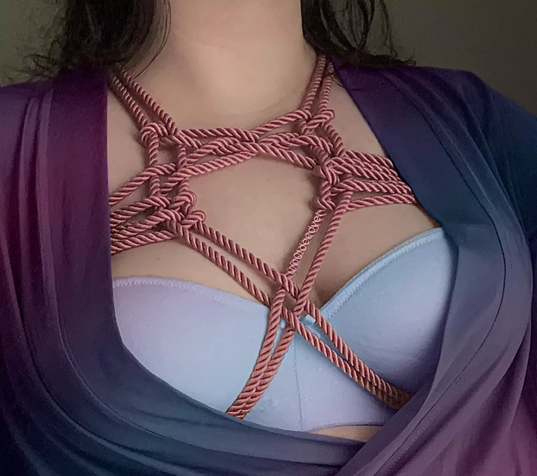 Welcome to my Candyland!