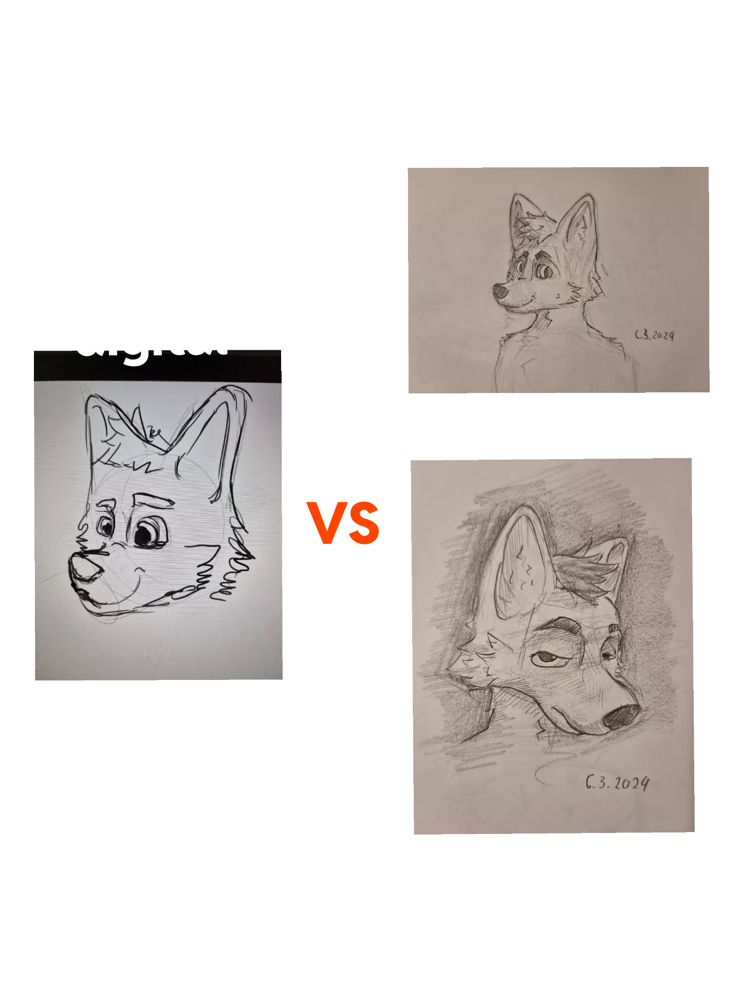 What do you use for digital drawing ? I mean device, not software. Because I suck at drawing on the computer 
