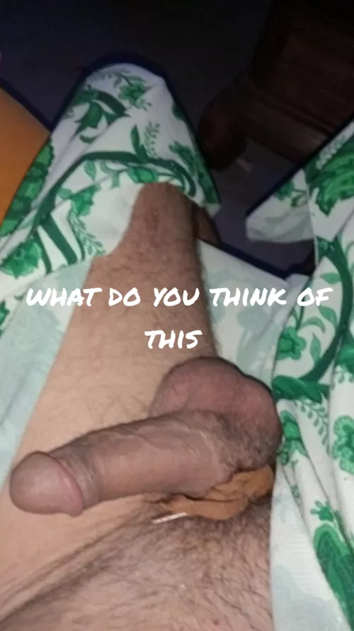 what you think of this