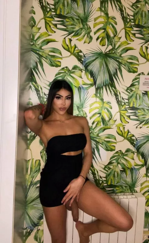 would you like me to go down on you?