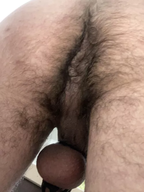 You know you want your face in there