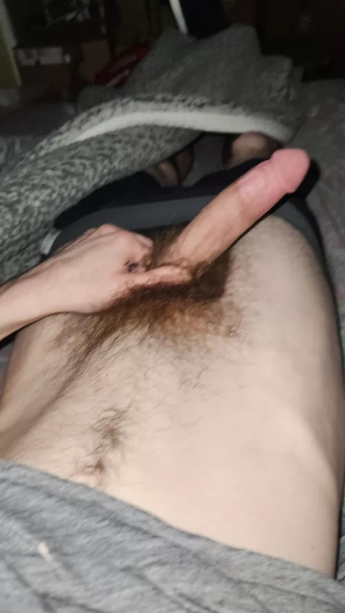 30 snap - steveo-whiteboy 