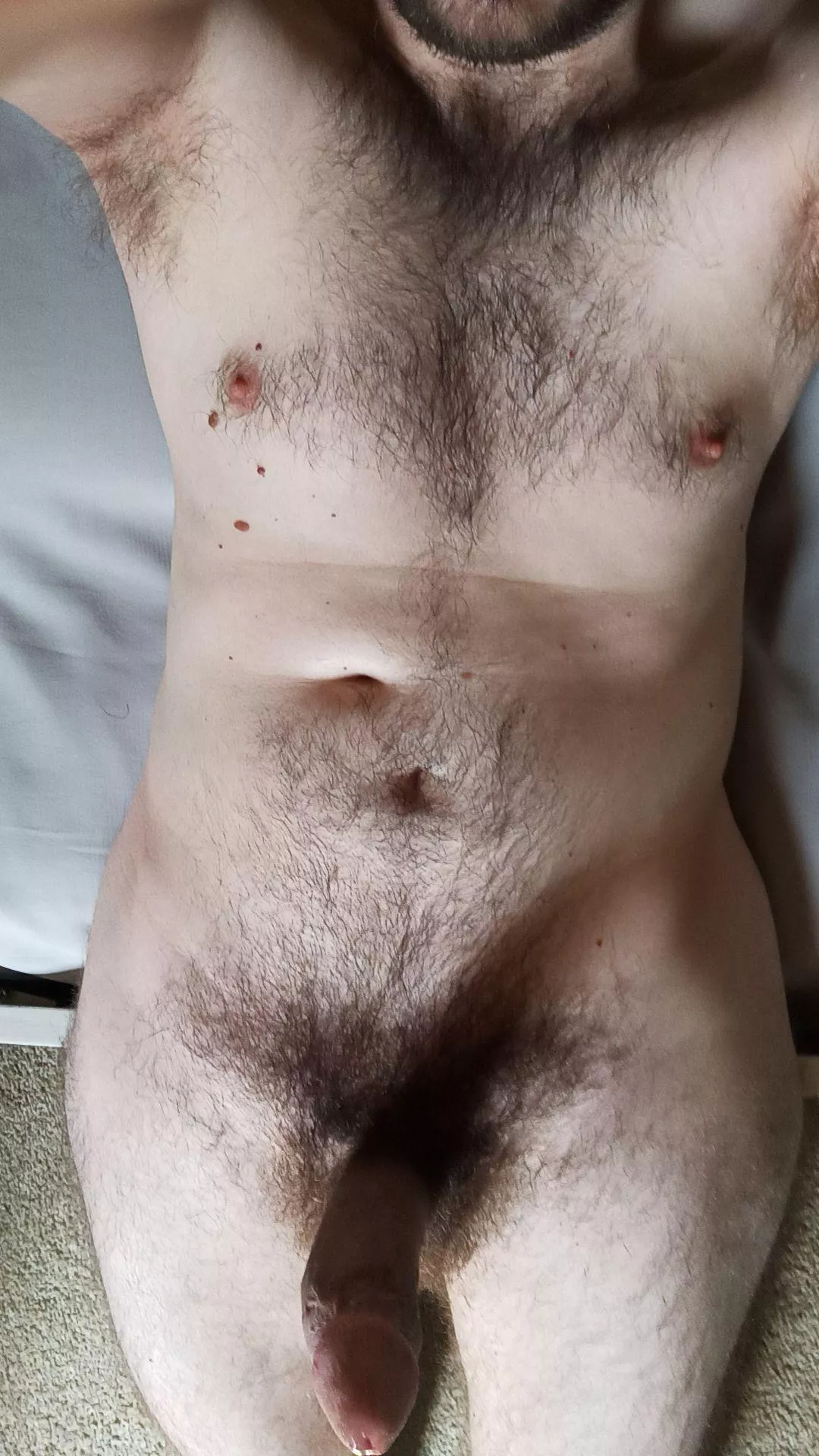 [32] I need to breed. DMs open. 