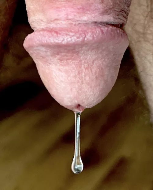 Always ready to make a baby...