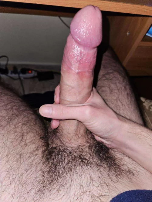 Does it get a passing grade?