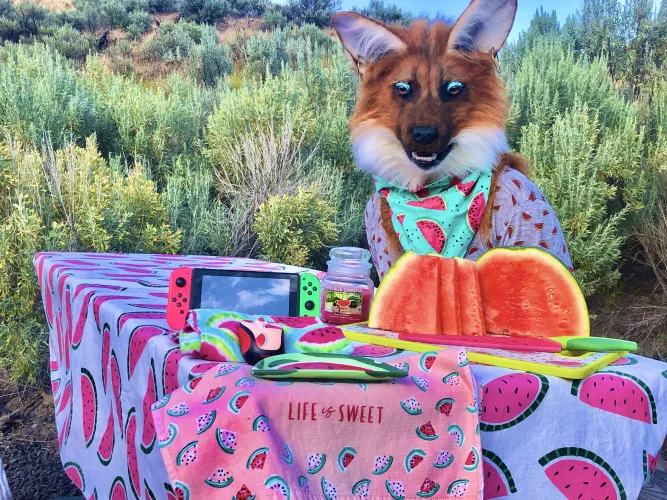 Easily my favorite pic of my fursona! (ZulayaWolf)