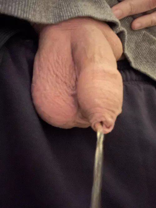 First Piss of the day. Any taker?