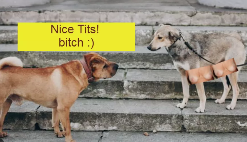 Happy Valentines day!