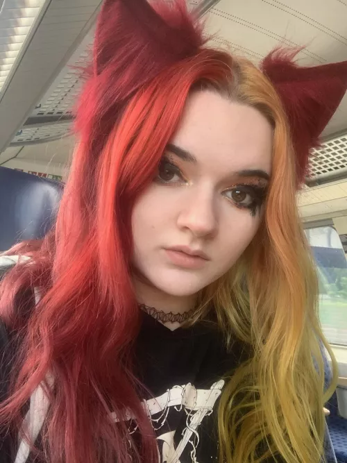 I love wearing my cat ears out in public 😻