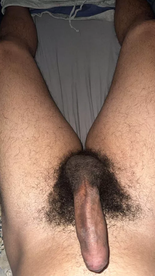 I really love my bush, do you ?