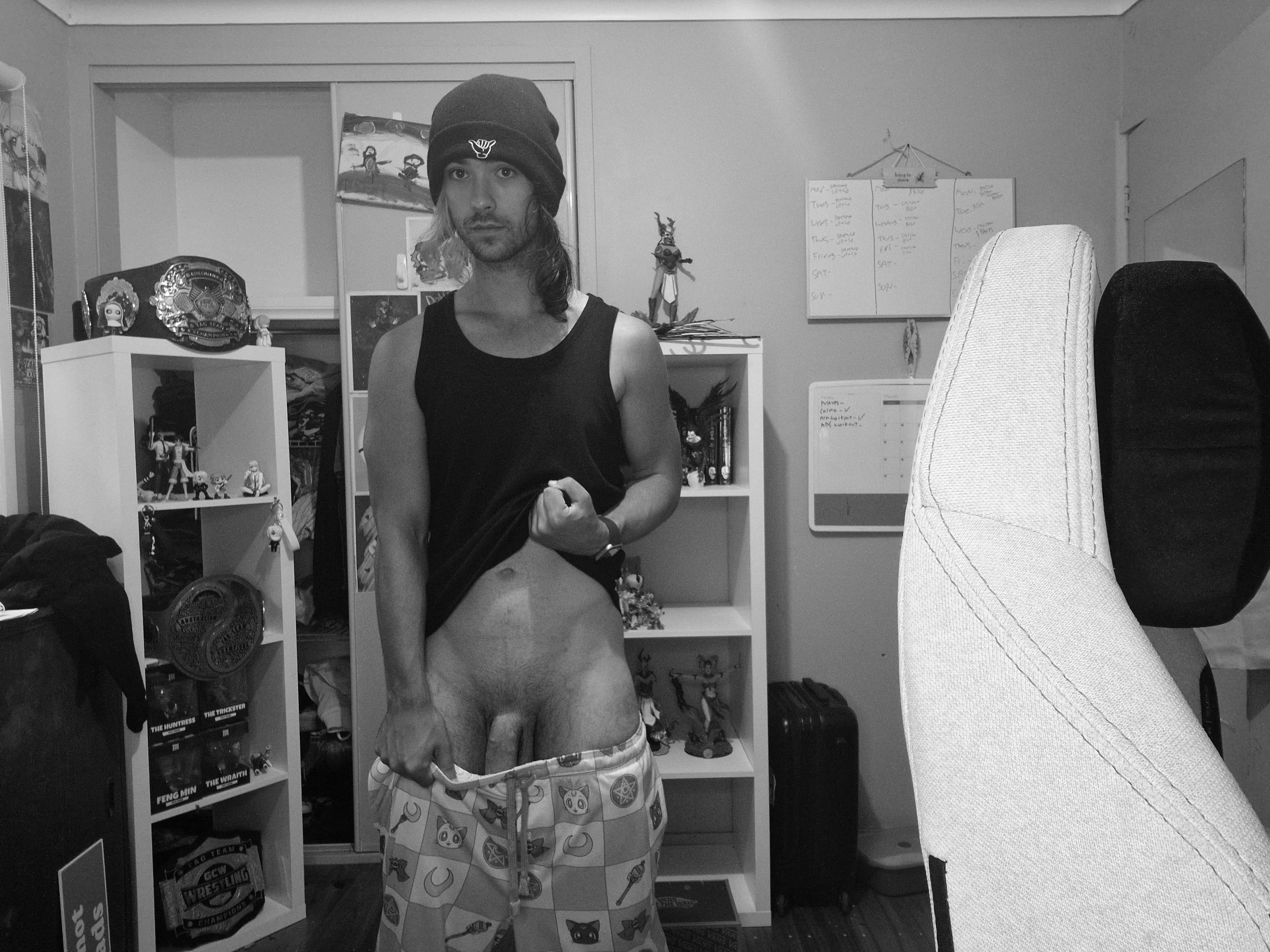 It was a horny morning this morning