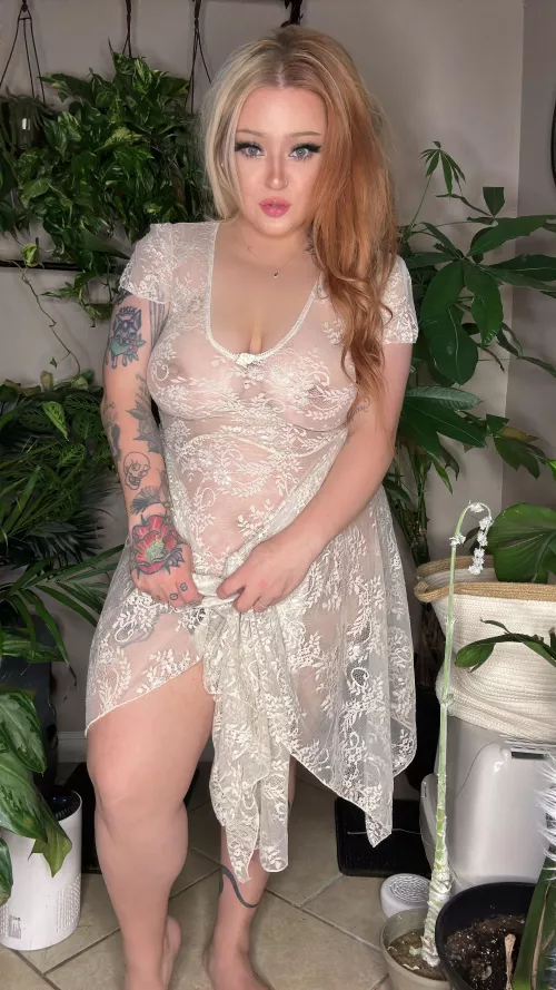 Let me show you blondes are wild