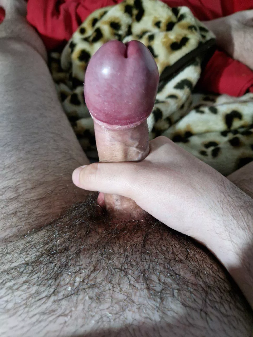 Night masturbation