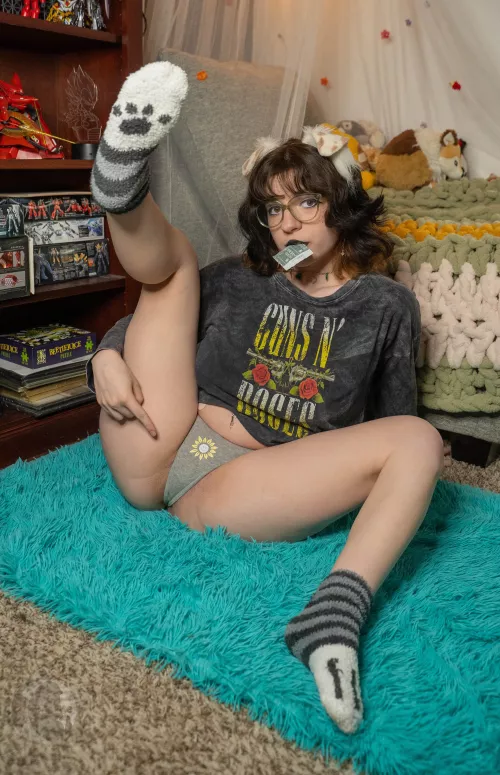 Puppy says “it goes in here”