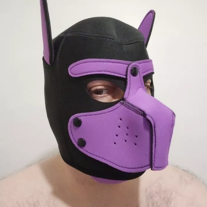 Puppy's first hood arrived today!