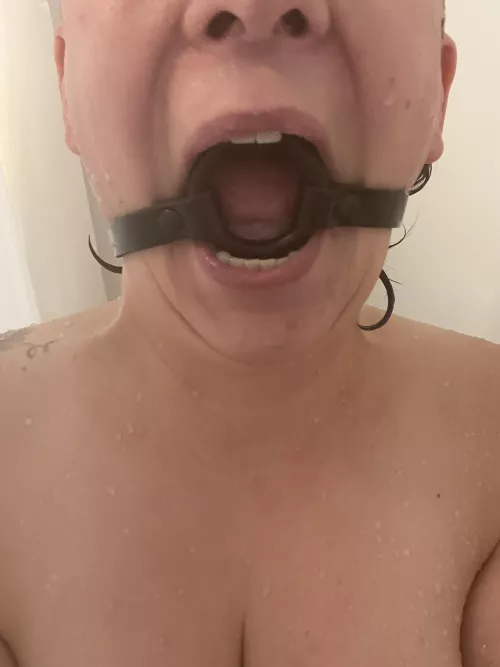 Ringgagged