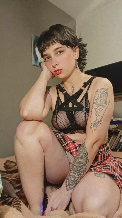 Short haired snack for boredom