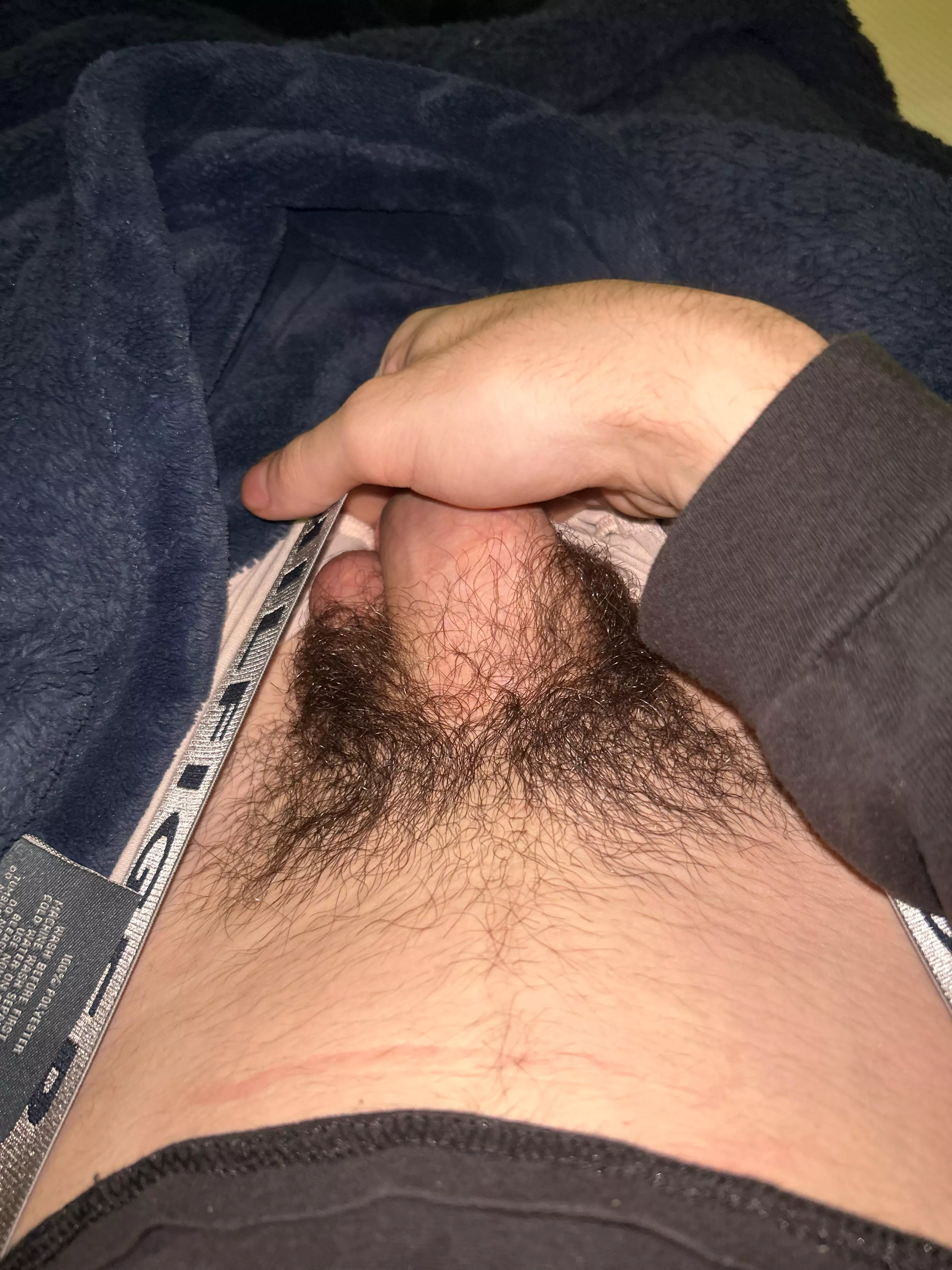 starting to get pretty hairy should i trim 🤷‍♂️