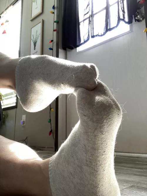 Sweet little ankle socks need a new home !