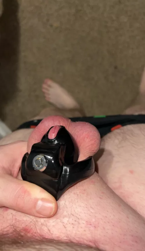 This is the smallest cage I own