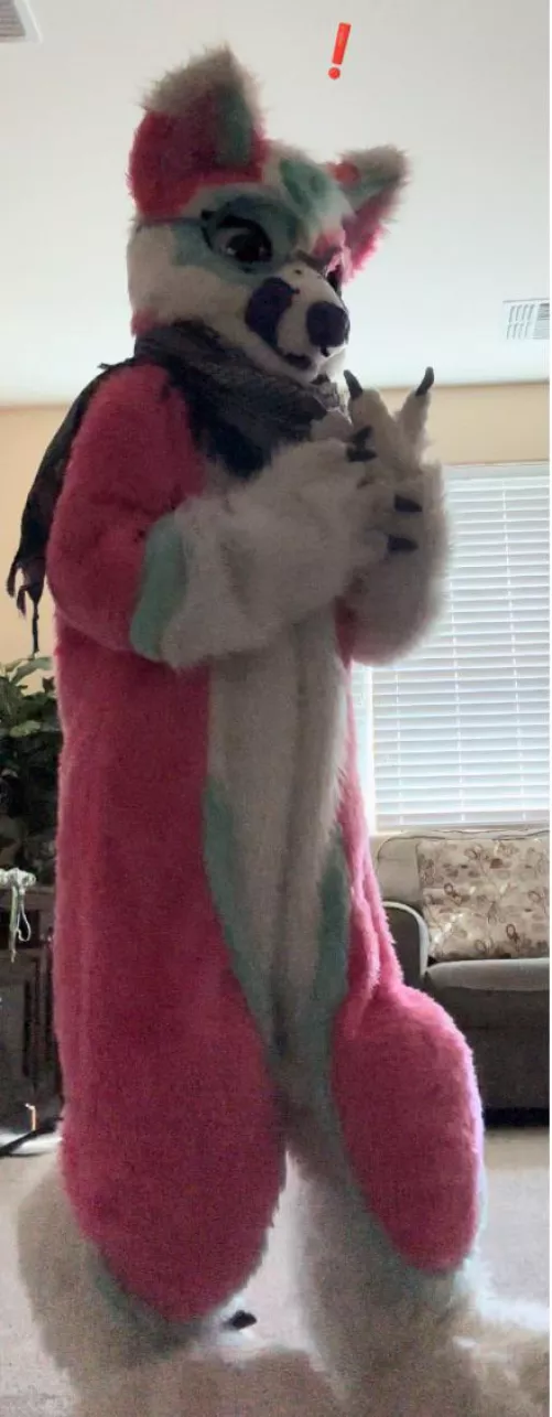 What did she see? Wrong answers only!