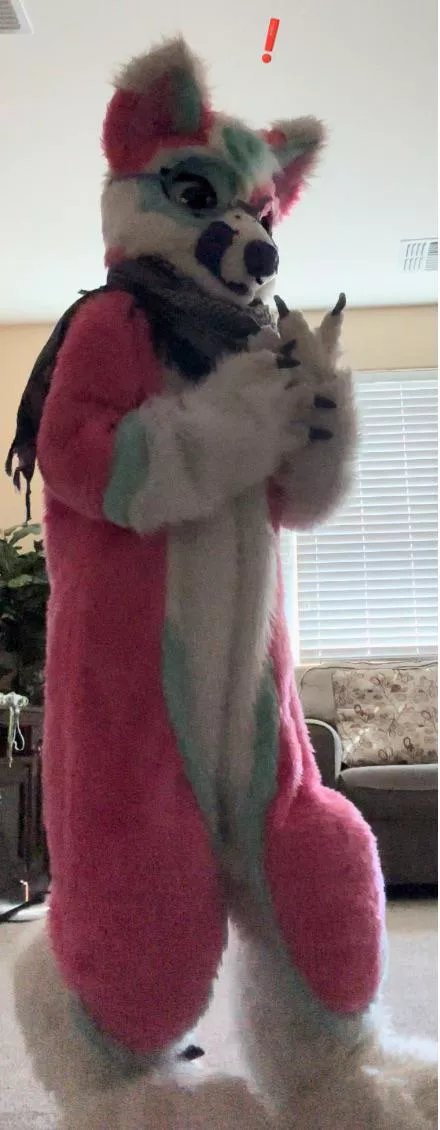 What did she see? Wrong answers only!