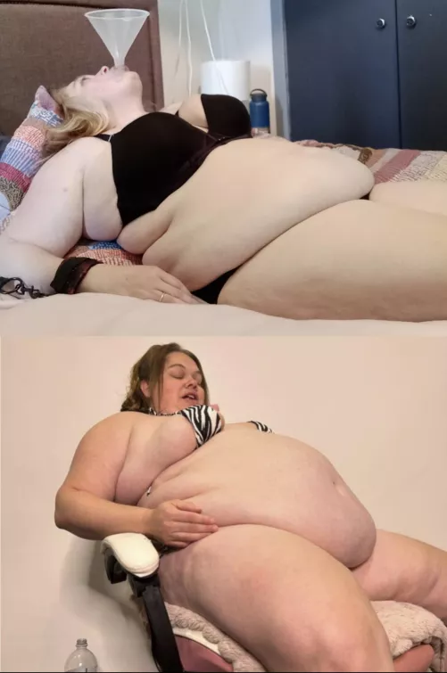 What harm could it do ?