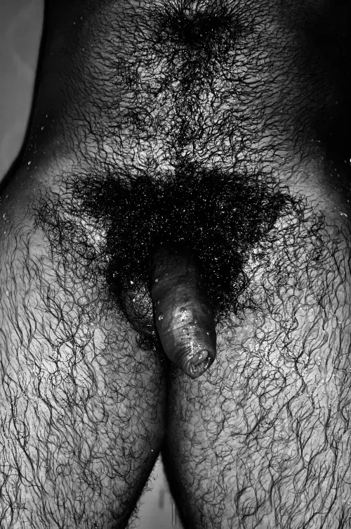 Who wanna shower with me?