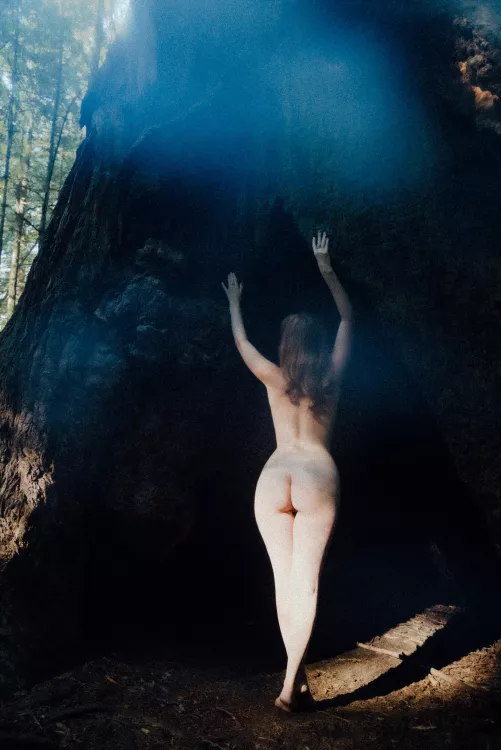 You can Only Enter The Tree Cave Naked..