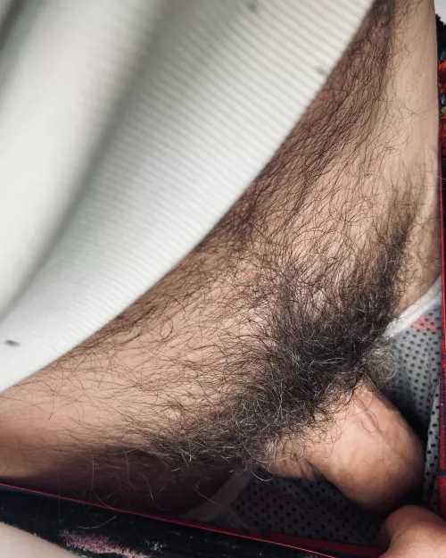 A peek inside my briefs...