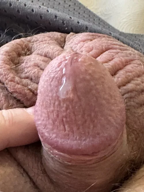 Been vibing my soft cock - 54 bi-curious