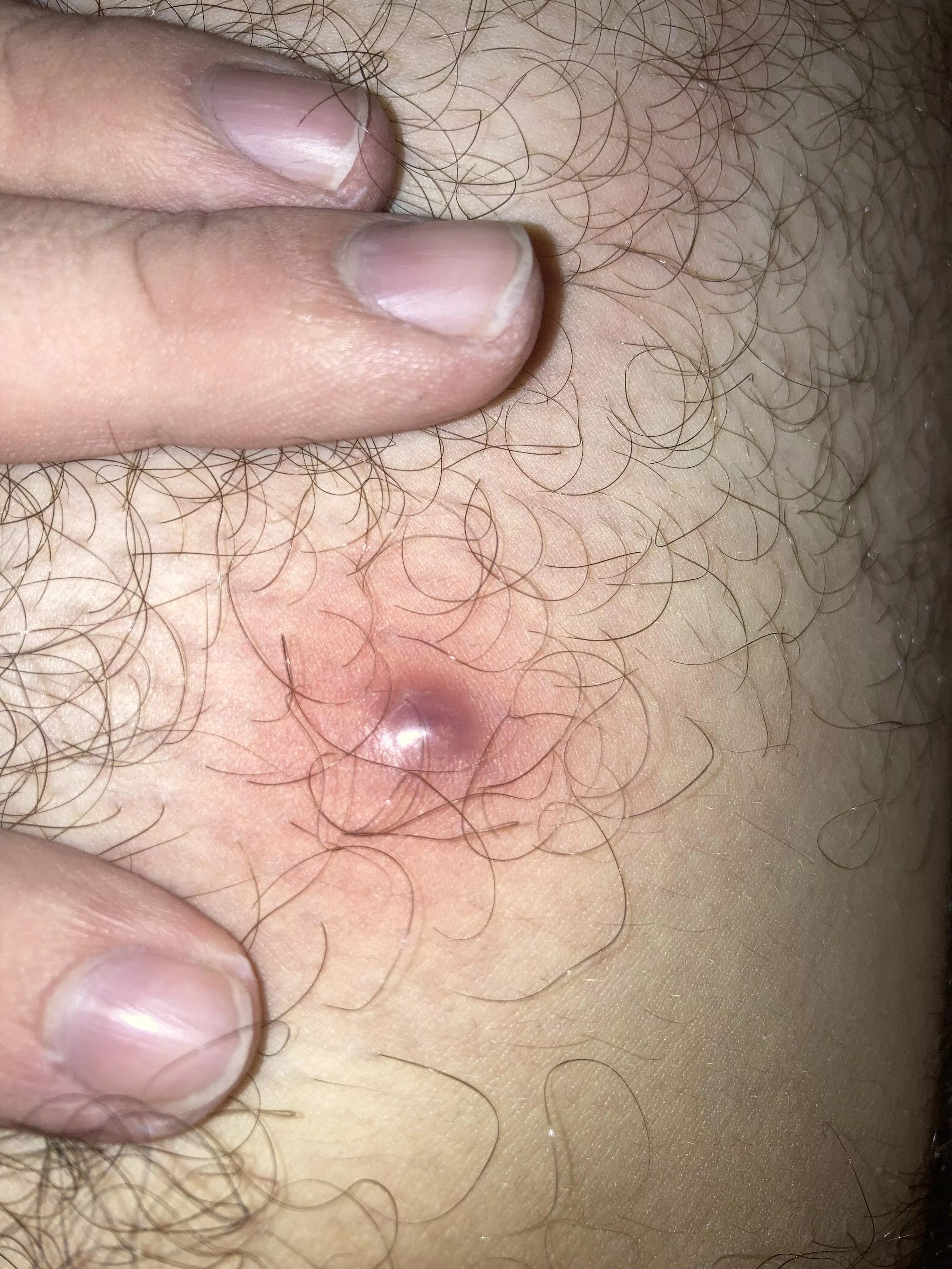 Can you guys help me by telling me what this is?