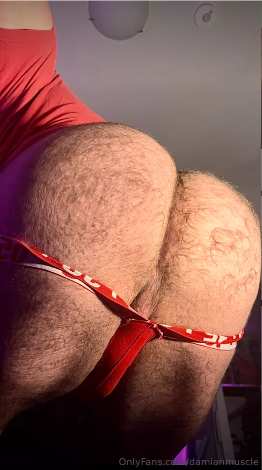 Evening Minions (32)(m)