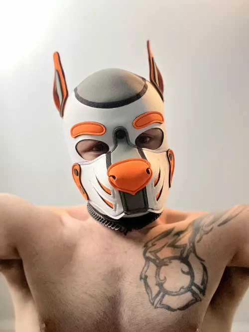 Find whatcha looking for down there pup? 😏