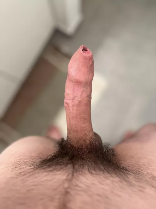Good morning wood. Anyone want to help me get rid of it?