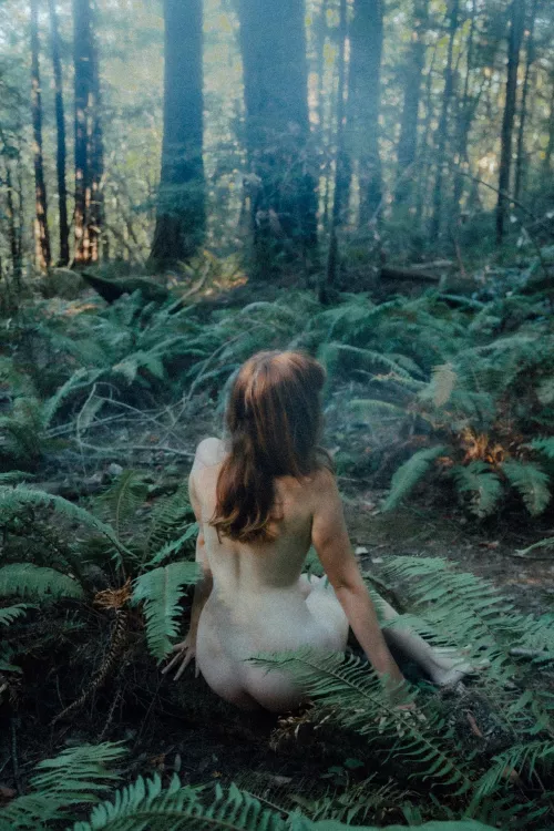 Grounding With the Fern Forest