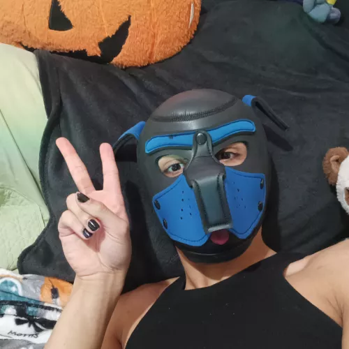 Hello reddit pups ! <3