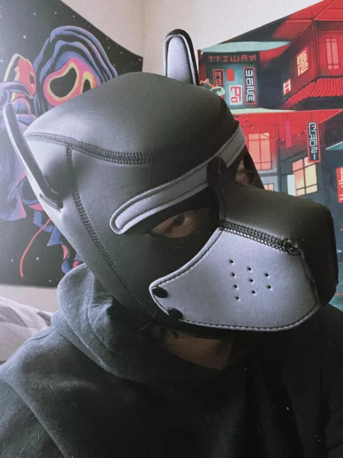 hi pups! new mask just came in :)
