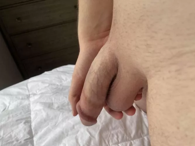 Holding my smooth softie