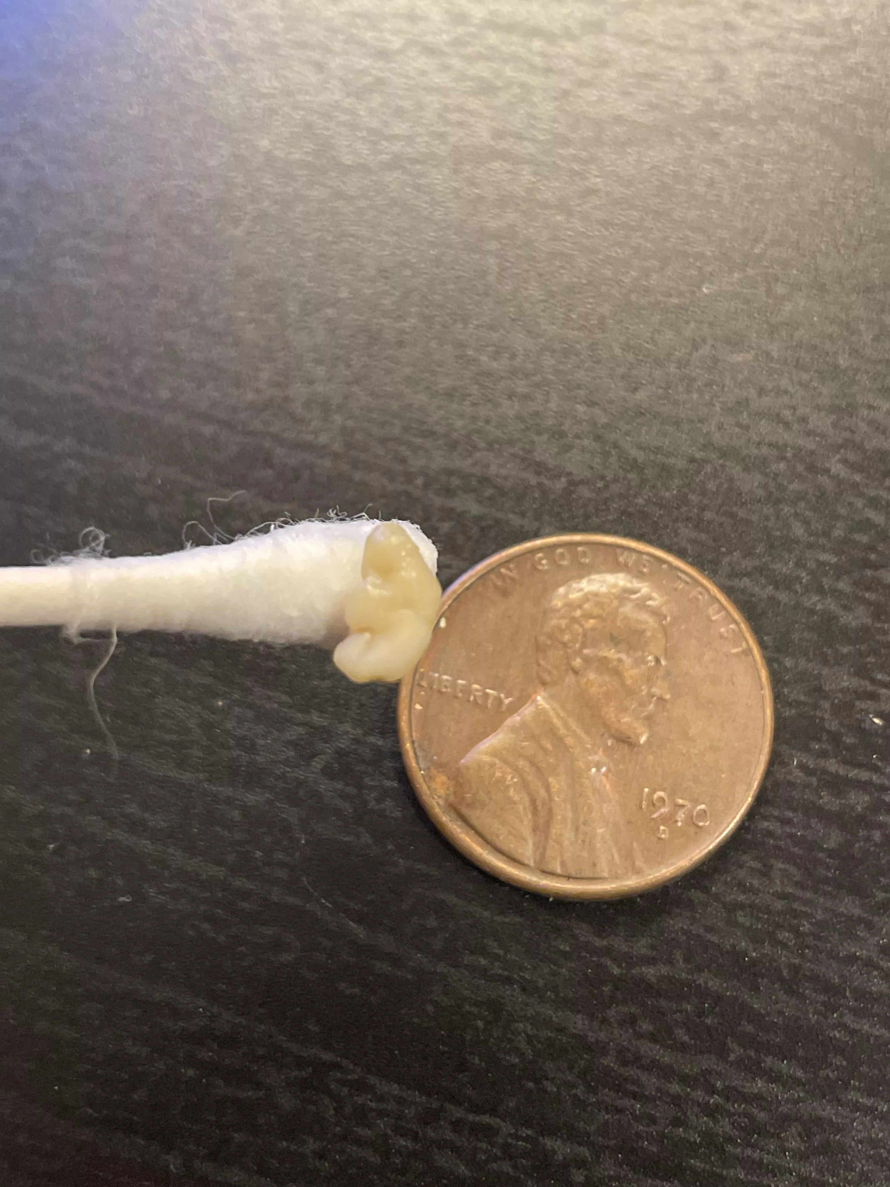 “I bet those weirdos on Reddit would love this!”