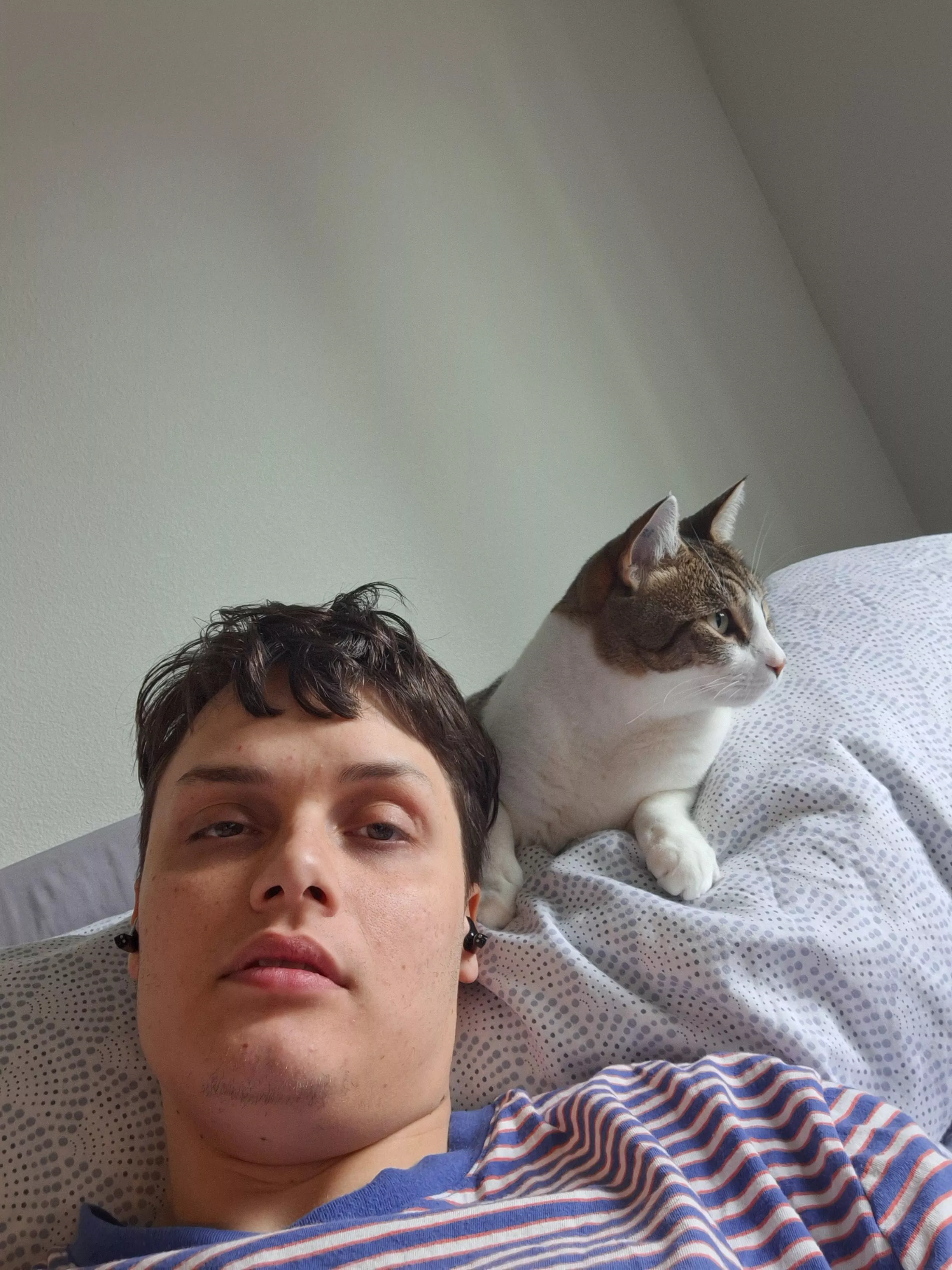 Khajit wishes you roads that lead to warm sands