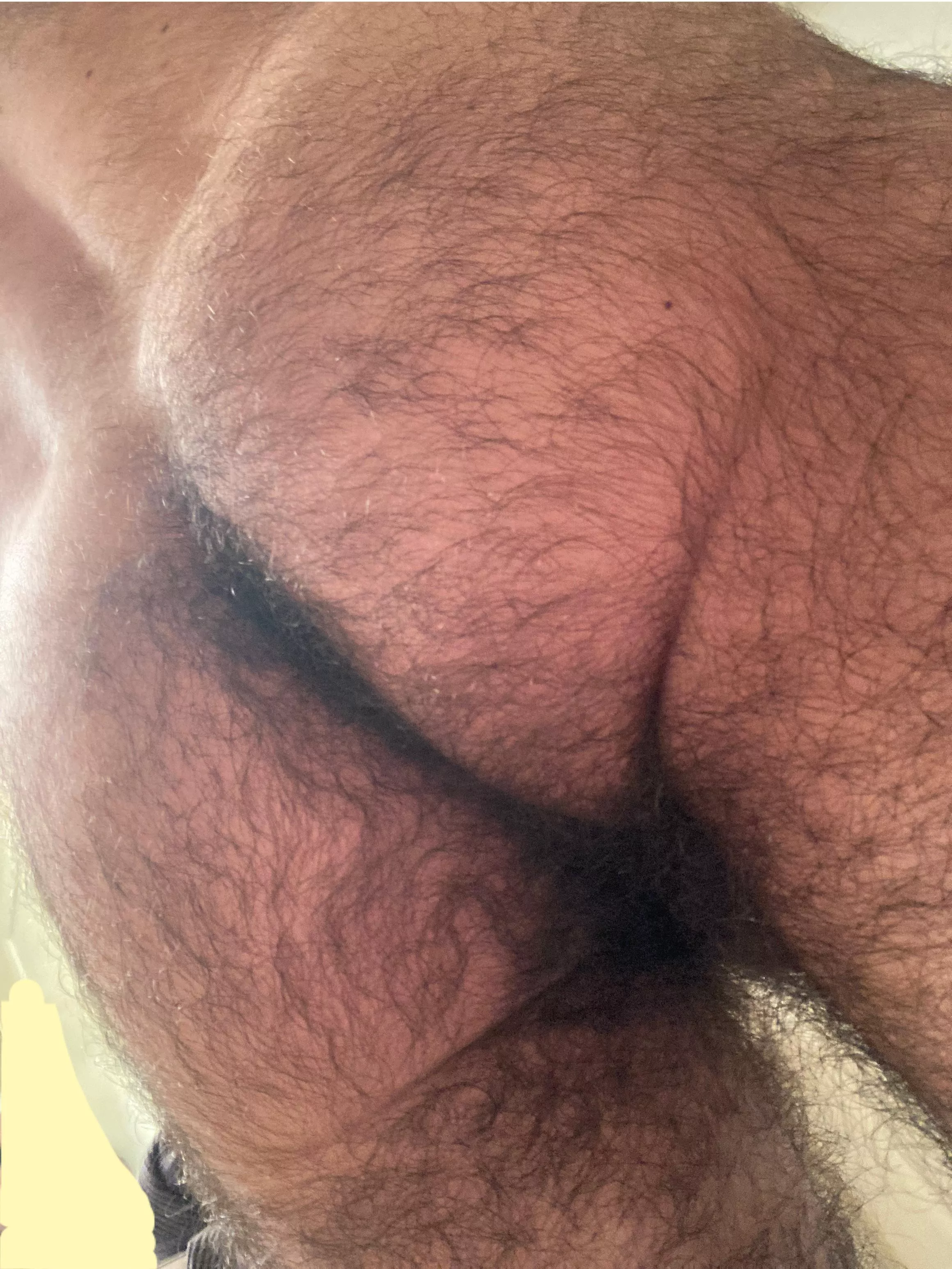 My man ass is hairy