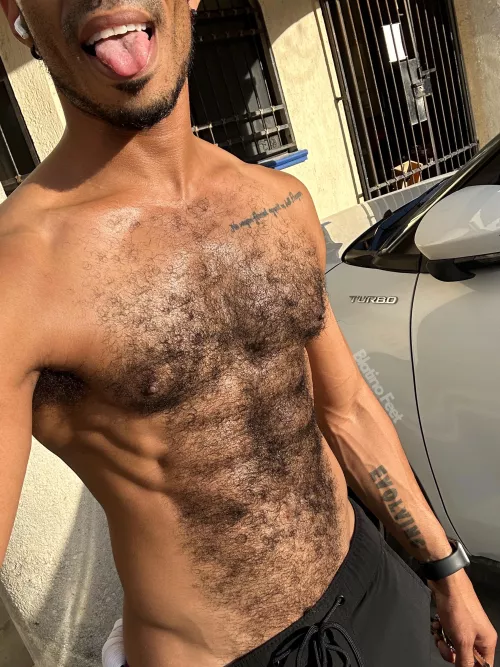 New here, is this hairy enough?