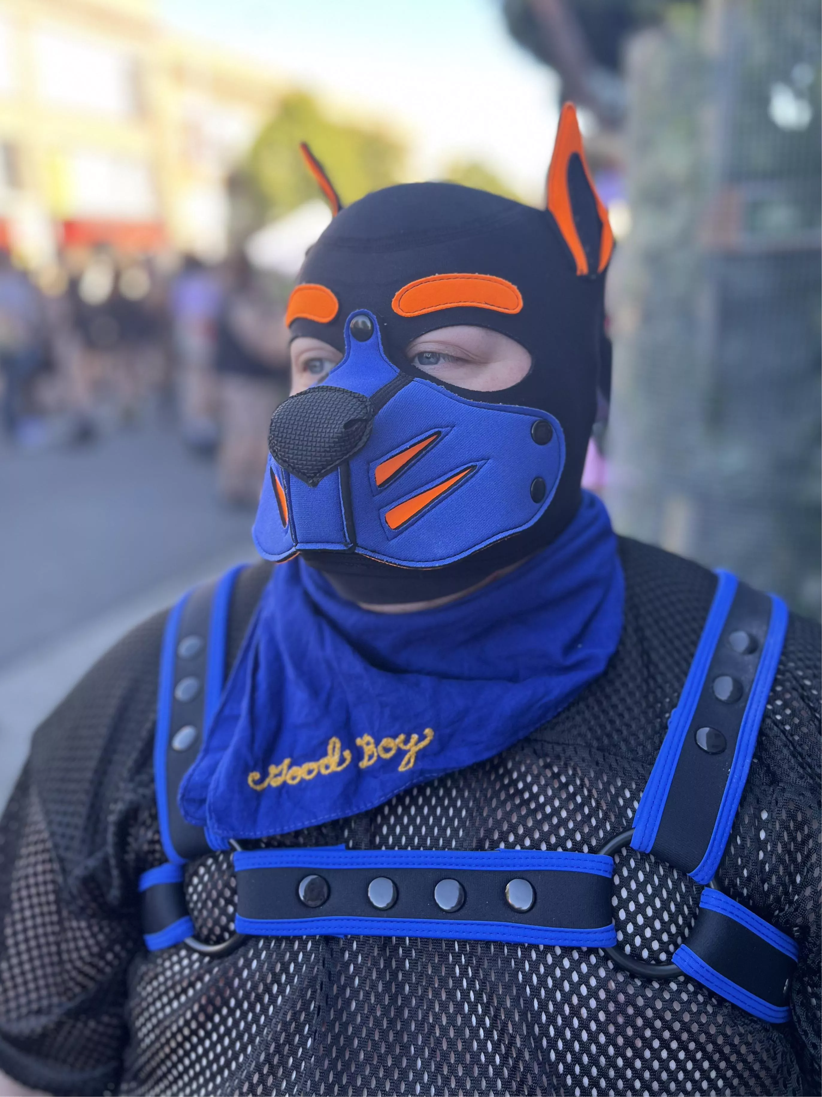 Pupper had a blast at Folsom this past year