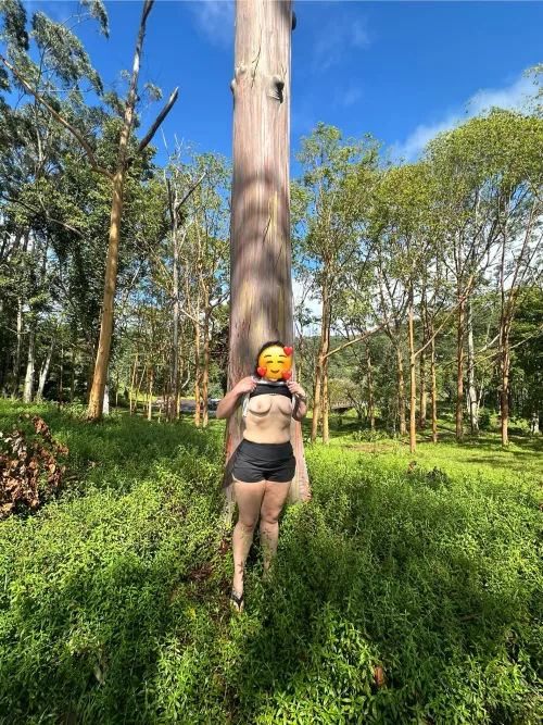 Rainbow eucalyptus trees and titties ;)